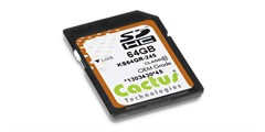 Cactus Technologies pSLC 245S Series – SD Card